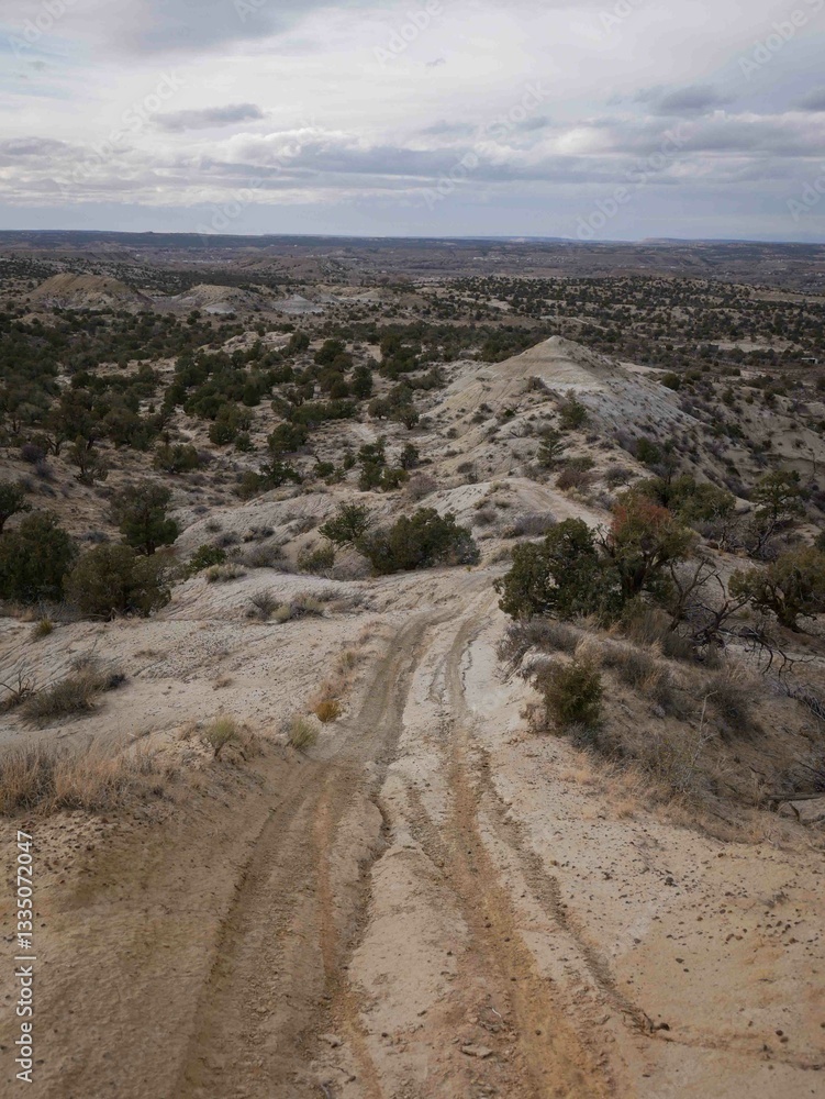 Dirt off-roading ATV trail in Aztec New Mexico with pinyon trees in desert landscape Dirt off-roading ATV trail in Aztec New Mexico with pinyon trees in desert landscape