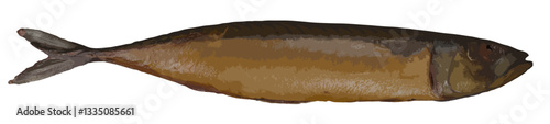 Smoked fish illustration