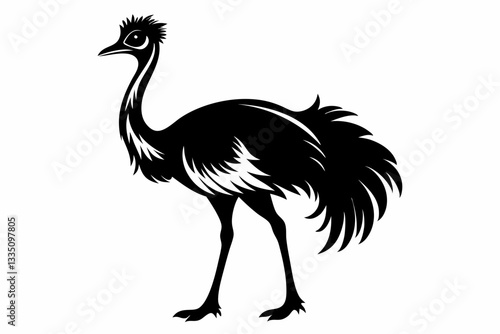 bird emu line art silhouette vector illustration