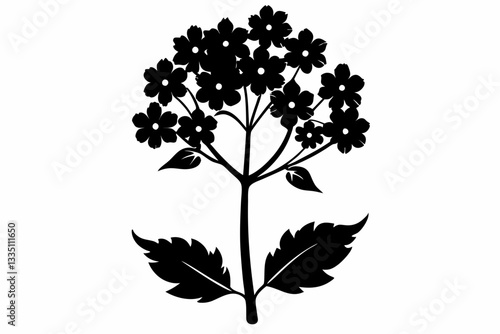 verbena flower line art silhouette vector illustration
