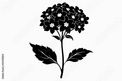 verbena flower line art silhouette vector illustration