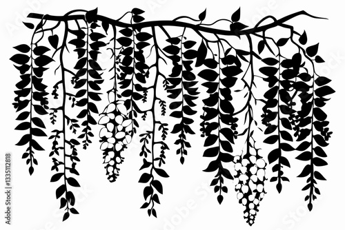 wisteria flowers line art silhouette vector illustration