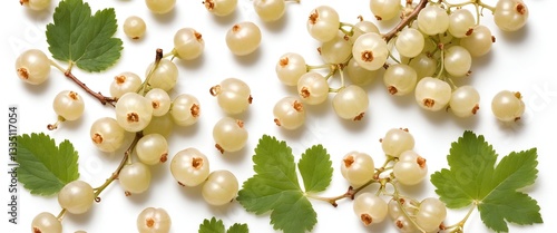 Obraz na płótnie Fresh white currant on white background. Top view w salonie