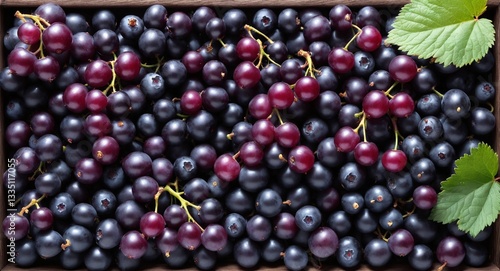 Obraz na płótnie Black currant berries. Nature, organic food background w salonie