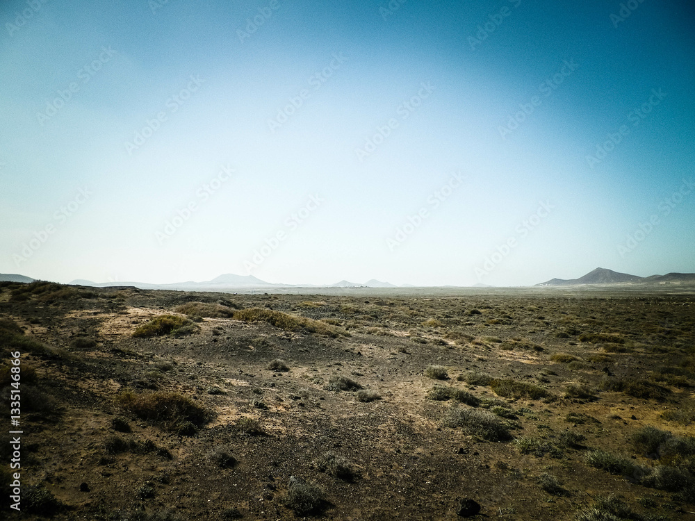 Fototapeta premium Desert landscape, Lanzarotte , Canary Islands.