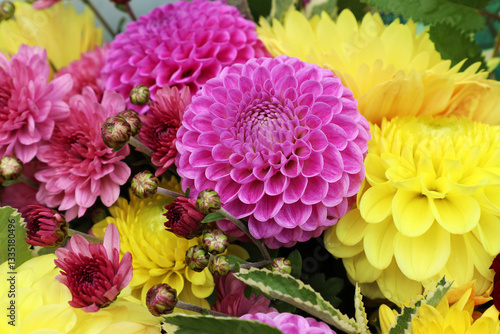 Wallpaper Mural pink pompom dahlia in a bouquet with yellow chrysanthemums Torontodigital.ca
