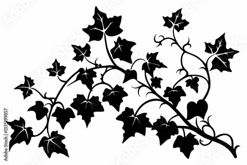 ivy clean line art silhouette vector illustration