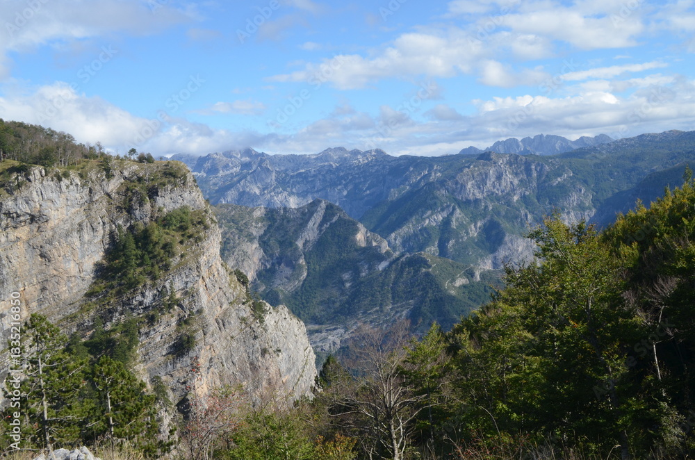 Naklejka premium national park