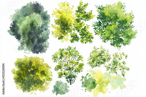 Watercolor Treetop Views Collection Green Lush Foliage Summer Nature Botanical Illustration Design Elements Landscape Architecture Planning Spring    