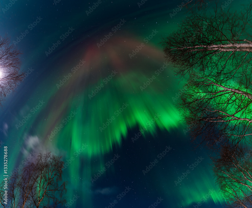 Obraz premium Aurora borealis painting the dark sky with vibrant green and red hues over a snowy landscape in Swedish Lappland, creating a magical and breathtaking natural spectacle