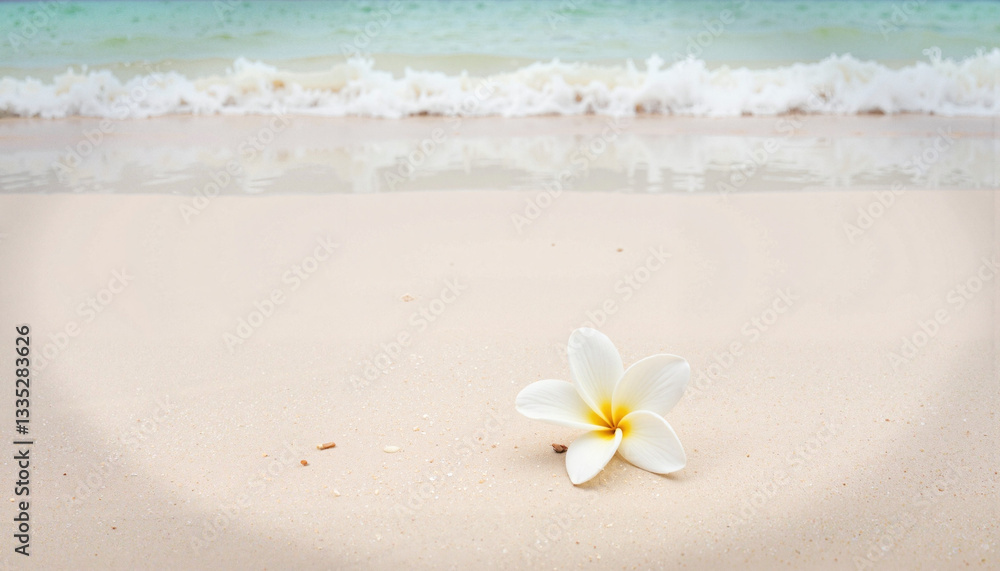 Single white flower on sandy beach at Maldives, calm serenity Single white flower on sandy beach at Maldives, calm serenity
