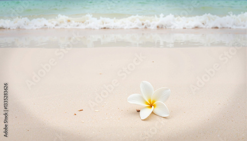 Single white flower on sandy beach at Maldives, calm serenity