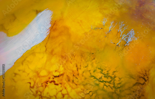 Papier peint Nature pollution and water contamination of the copper mine exploitation in Geam