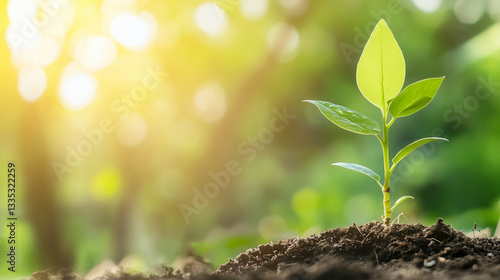 Examine the psychological effects of visual reminders, including sticky notes with uplifting messages, on mental resilience and self-motivation. Learn how these daily affirmations
