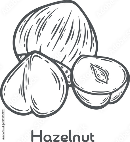 Hazelnut nut seed chocolate food ingredient organic cosmetics treatment component
