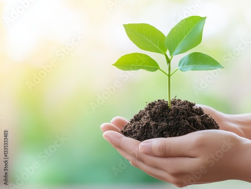Close Up of Hands Holding a Seedling in Rich Soil Outdoors