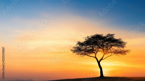 Silhouette of a Tree at Sunset