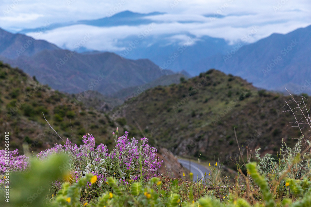 Fototapeta premium A breathtaking view from Meghri Pass in Syunik (Zangezur), Armenia, overlooking rugged mountains and Meghri valley. The misty, cloud-covered peaks enhance the dramatic landscape