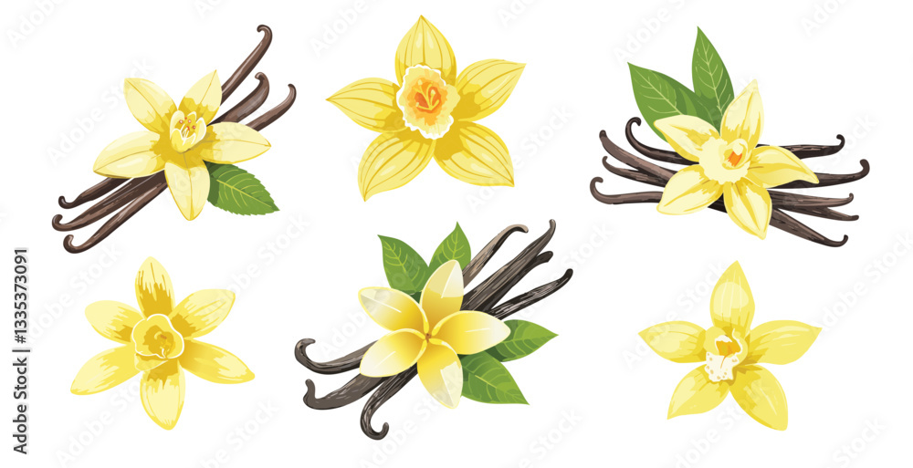 Fototapeta premium Vanilla scented, Vanilla bean fruit vector isolated on transparent background. Generative AI / Created using generative AI tools