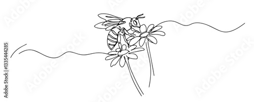  bee sits on a flower and collects pollen in spring thin line art style vector