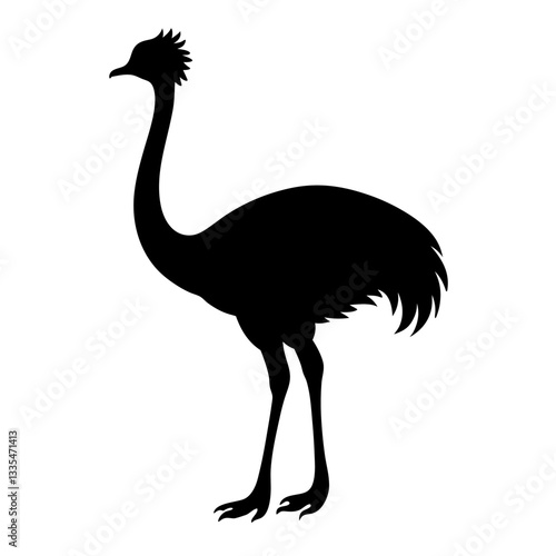 Ostrich isolated on white background with long neck and feathers, showing its beak and large body in a simple vector illustration