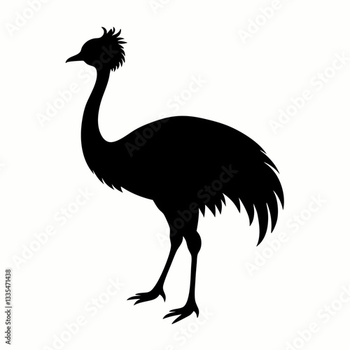 Ostrich isolated on white background with long neck and feathers, showing its beak and large body in a simple vector illustration