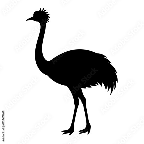 Ostrich isolated on white background with long neck and feathers, showing its beak and large body in a simple vector illustration