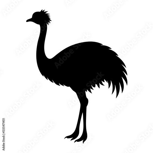 Ostrich isolated on white background with long neck and feathers, showing its beak and large body in a simple vector illustration