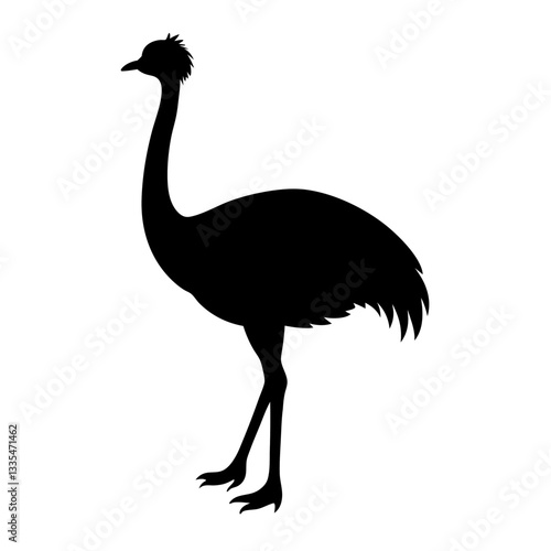 Ostrich isolated on white background with long neck and feathers, showing its beak and large body in a simple vector illustration