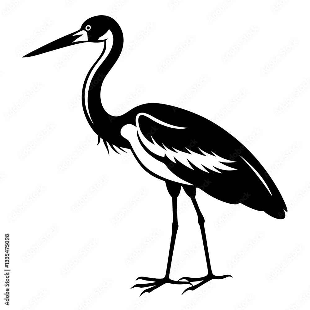Fototapeta premium A heron standing on the beach with a black background, showcasing its grey feathers and long beak, representing wildlife and nature in Florida
