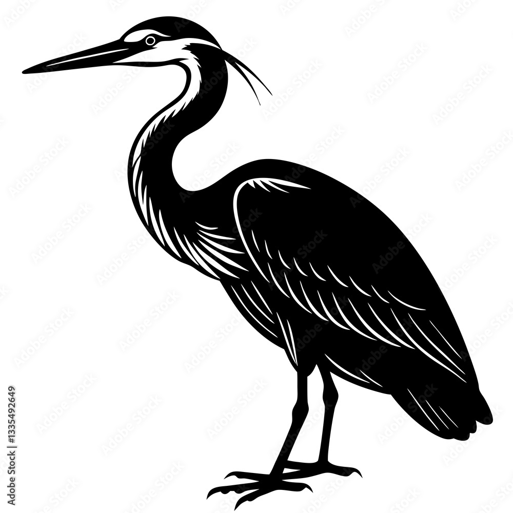 Obraz premium Harbinger Heron silhouette vector illustration 