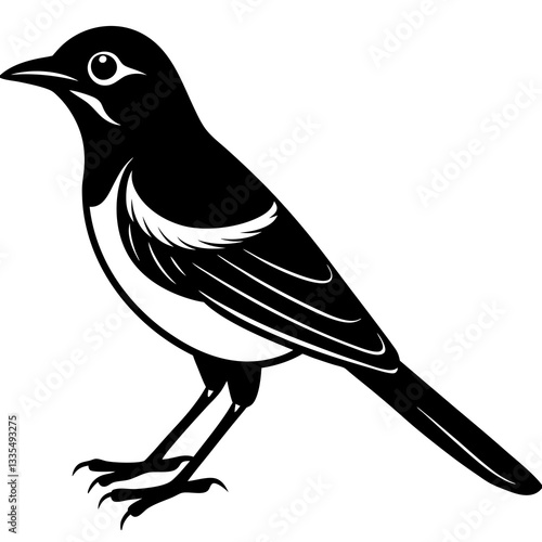 Ravenous Shrike silhouette vector illustration 