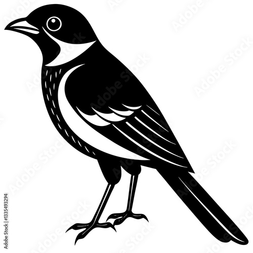 Ravenous Shrike silhouette vector illustration 