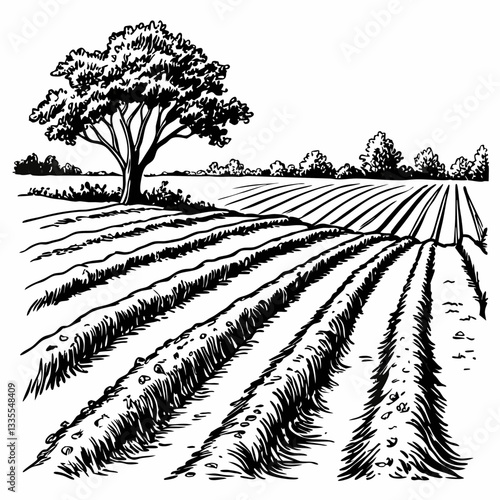 A black and white hand-drawn vector illustration of a plowed field 