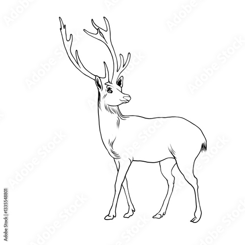 deer vector illustration