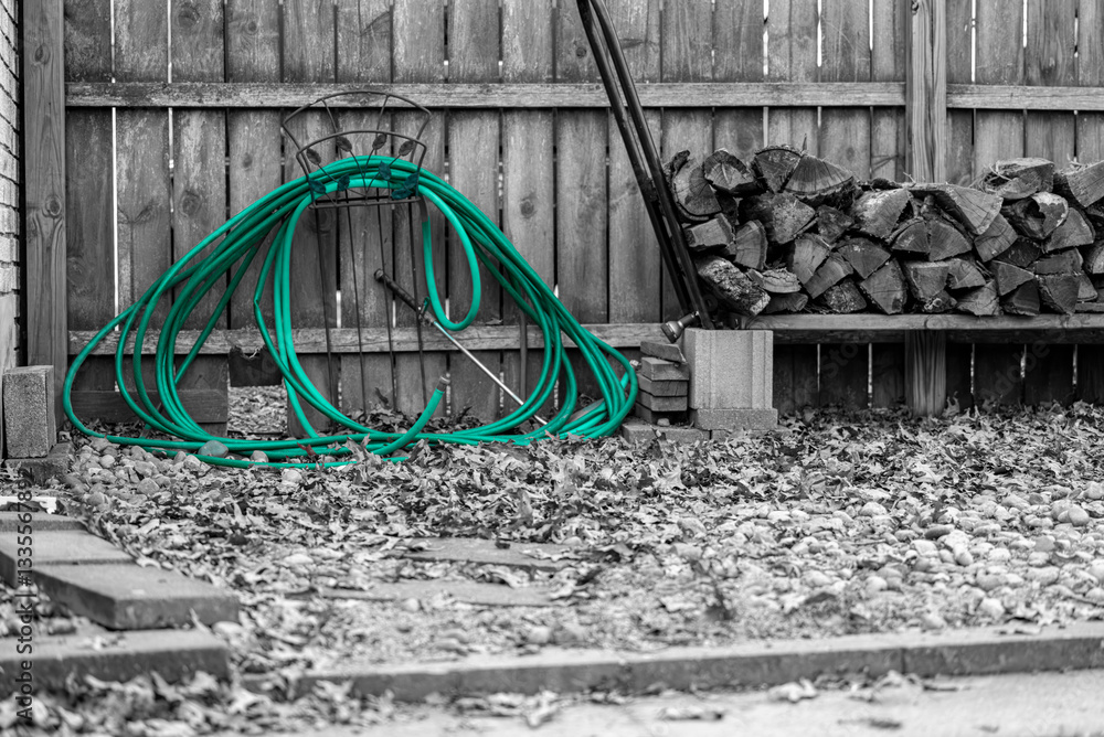 Coiled Green Garden Hose Against Wooden Fence in Rustic Backyard