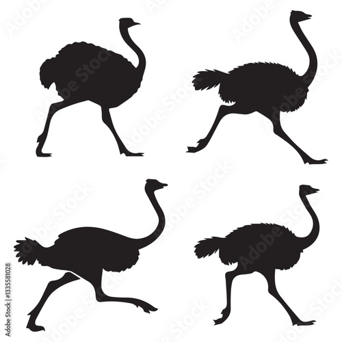 Set of Ostrich Silhouettes Illustration on White Background