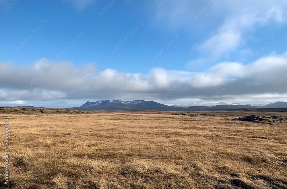 Fototapeta premium Icelandic Plains Under a Blue Sky Mountains in the Distance
