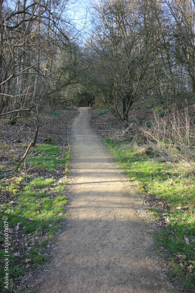 Fototapeta premium Queens Hill, Norwich, United Kingdom, March 15, 2025, Views from Queens Hill Forest