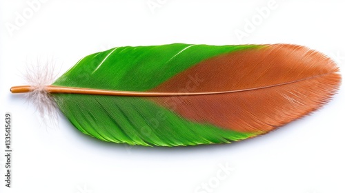 Vibrant Green And Brown Bird Feather Close up On White Background