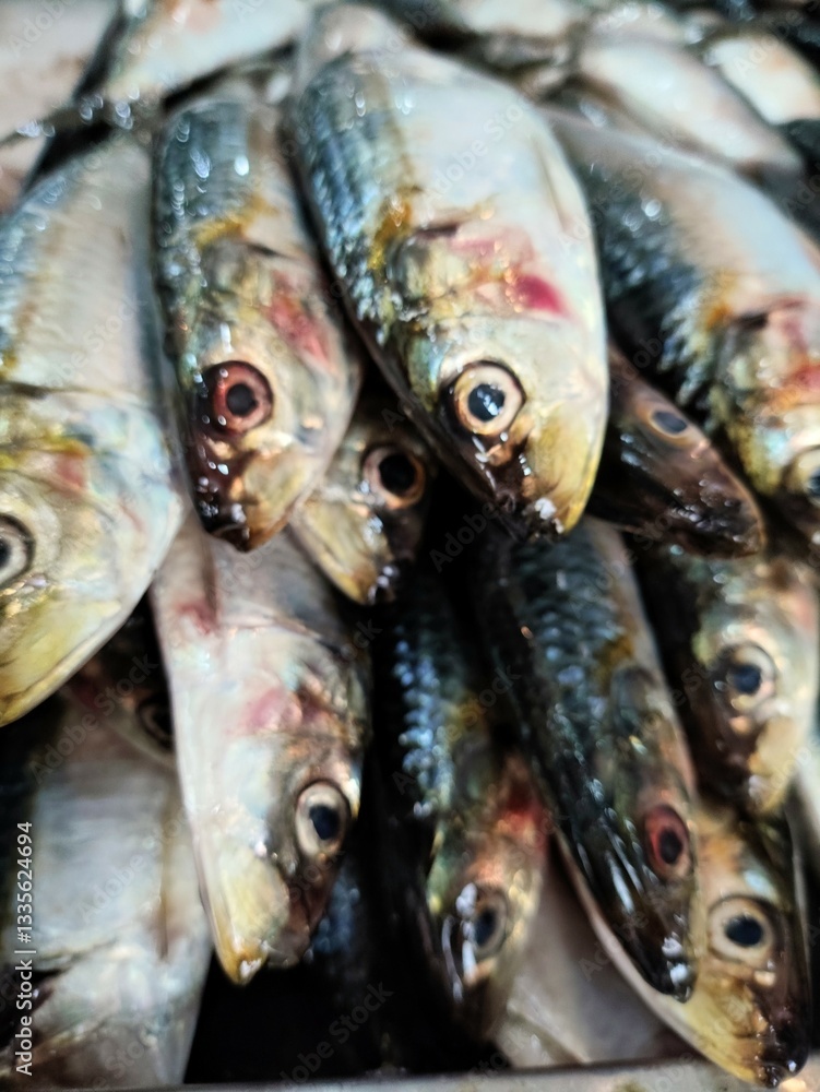 Obraz premium fresh fish at the market, fishmonger