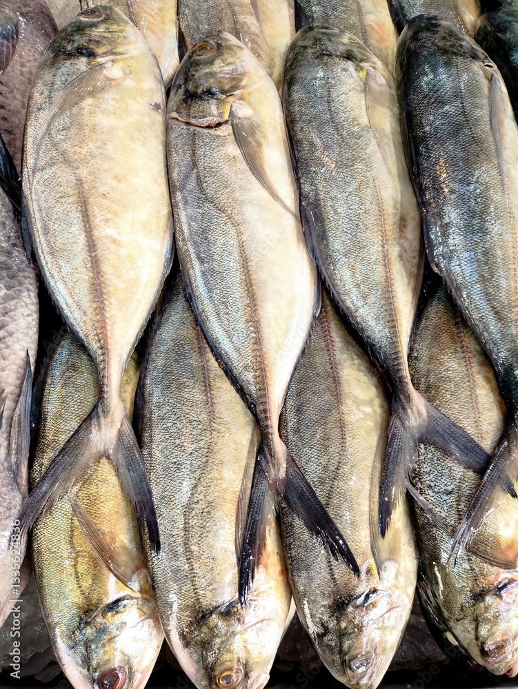 Obraz premium fresh fish on the market, fishmonger 
