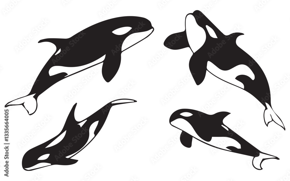 Fototapeta premium Orca Whale Silhouette Collection in Various Styles