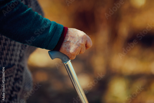 Billede på lærred Hand of an old woman walking with a cane