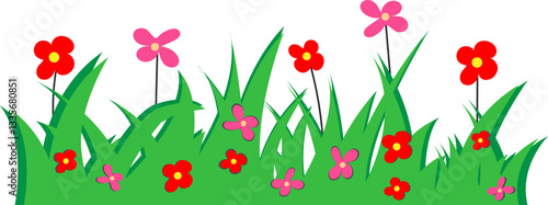 tulip flowers vector illustration