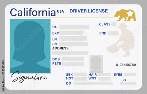 California driver's license with female silhouette isolated on gray background. Person driver license artwork.