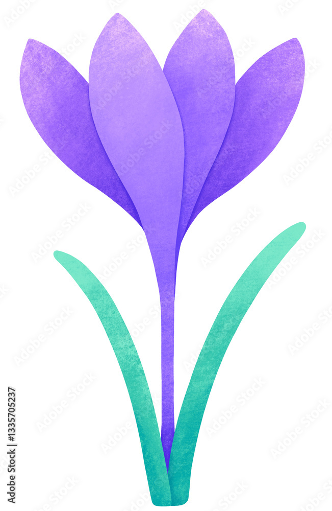 Obraz premium spring crocus flower illustration. Isolated purple flower with stem and leaf clip art.