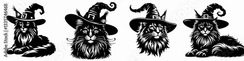 Maine Coon Cat wear witch hat in halloween 0803 1526 vector illustration a spooky feline friend for a magical Halloween night