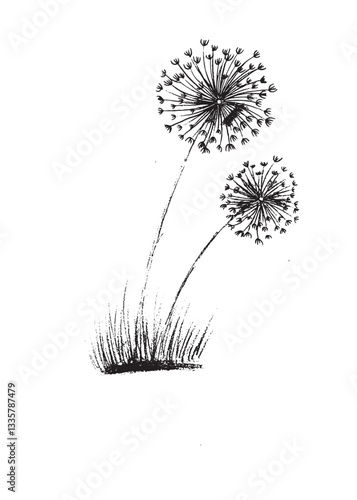 Elegant black ink dandelion artwork with a minimalist touch, perfect for nature-inspired designs, wallpapers, and creative backgrounds. High resolution for versatile digital and print use.