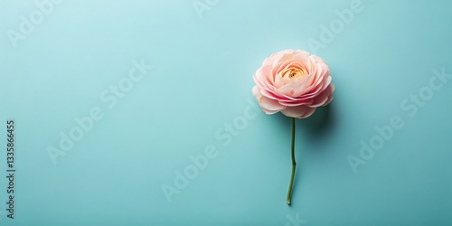 Blooming Flowers Flat Lay: Clean & Minimalist Floral Design Stock Photo